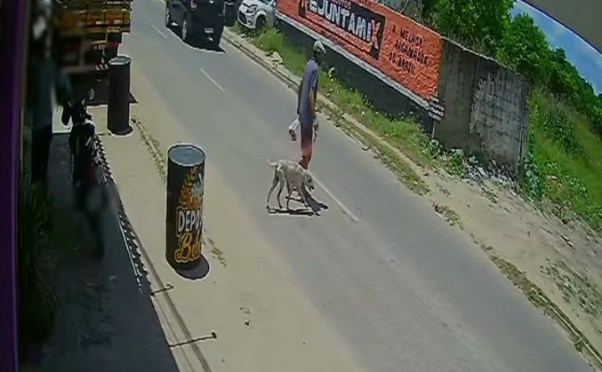 “Não tive essa intenção”, diz homem que pendurou cachorro pelo pescoço, em João Pessoa