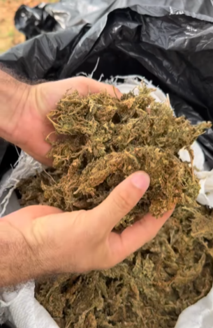 Polícia Civil apreende quase meio milhão de reais em drogas no cariri paraibano