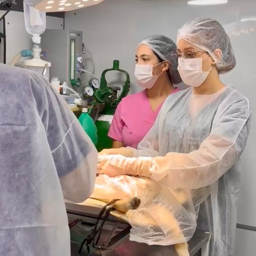 Prefeitura de Cuité realiza ação de castração de animais em parceria com o Castra+ Paraíba