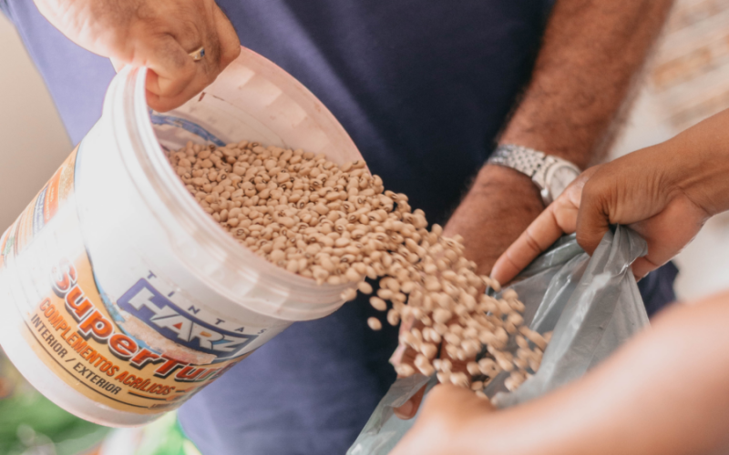 Ação da Prefeitura de Cuité distribui 1,8 toneladas de sementes para agricultores do município