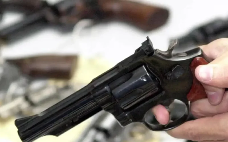 Comissão de Segurança aprova projeto que autoriza uso de FGTS para compra de arma