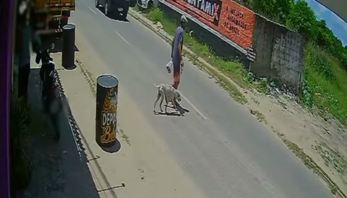 “Não tive essa intenção”, diz homem que pendurou cachorro pelo pescoço, em João Pessoa
