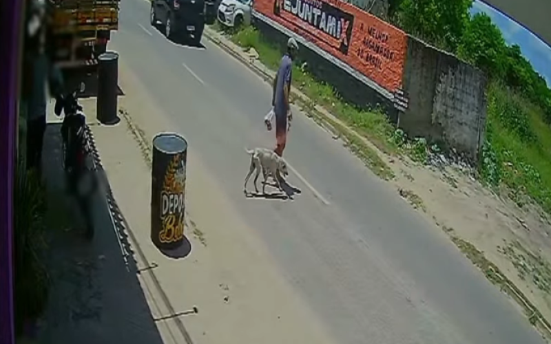 “Não tive essa intenção”, diz homem que pendurou cachorro pelo pescoço, em João Pessoa