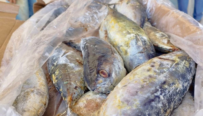 Prefeitura de Cuité distribui 4,5 toneladas de peixe durante a Semana Santa