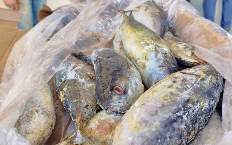 Prefeitura de Cuité distribui 4,5 toneladas de peixe durante a Semana Santa