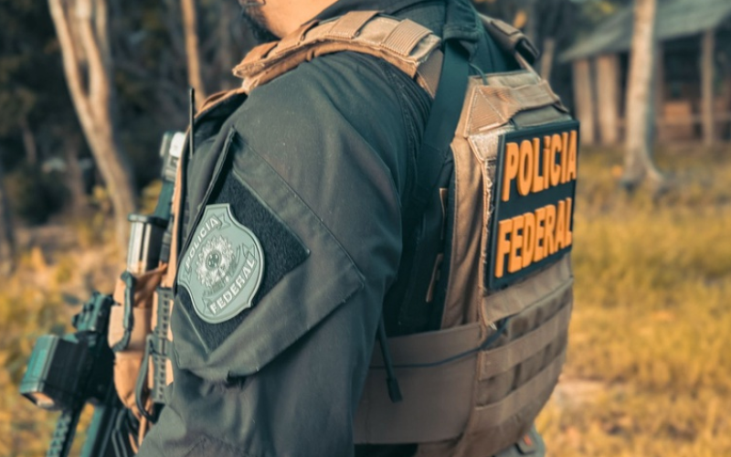 Plantação de 18 mil pés de maconha é identificada pela Polícia Federal, no Sertão da Paraíba