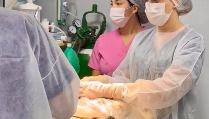 Prefeitura de Cuité realiza ação de castração de animais em parceria com o Castra+ Paraíba