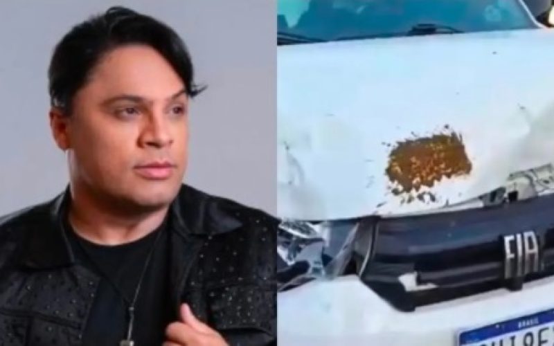 Sem título